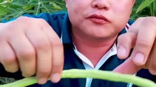 超长豆角牛肉丸浓香米粉小苦瓜 泰国美食