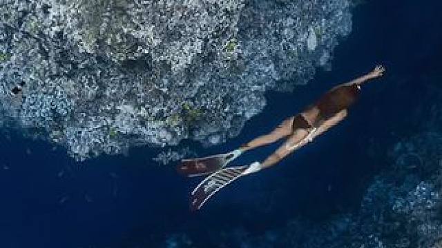 菲律宾 菲律宾，懒得写文案了，流量拉垮