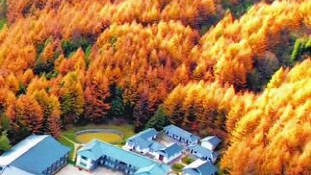 曾家山秋色即将上演#一起来拍秋天 #属于秋天的颜色 #是谁发现了秋天的美景 #带你走进画里 #醉美广