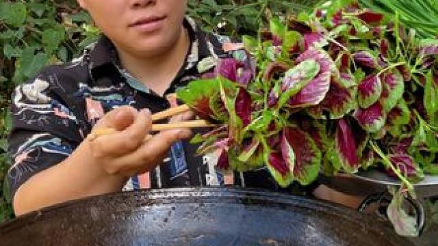 今天摘些新鲜蔬菜，简单做一餐好吃的 #美食 #农村生活