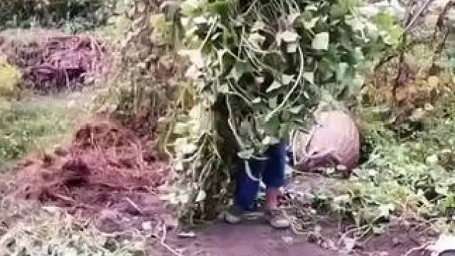 山卡卡里的农村大姐学费了开直播每天收获满满您还在恐播怕播不敢开播开播了不知说什么吗#记录真实生活 #