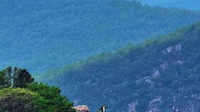 登高望远放松心情#登顶成功 #醉美广元#户外登山 #一帧中国·大美广元#千村万象乡影广元#TA的生活