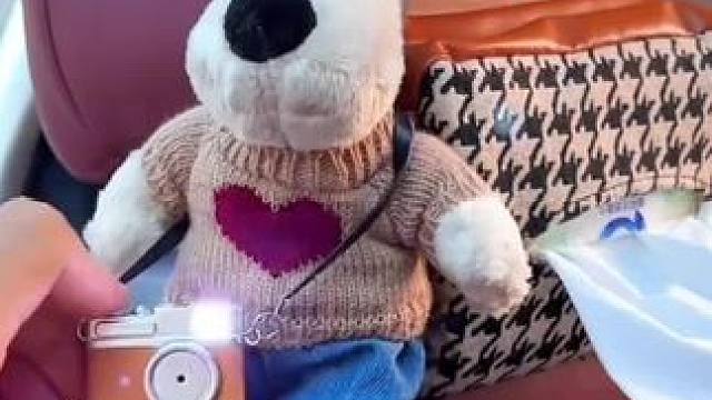 呆萌呆萌 狗狗卡通抽纸盒，不挑车型，还有小相机还能咔嚓味嚓的响，可以穿鞋子换衣服，真的好