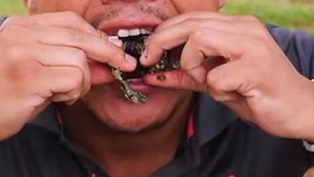 蛋蛋蛙就得吃满籽的 #美食 #泰国美食 #户外美食 #内容启发搜索