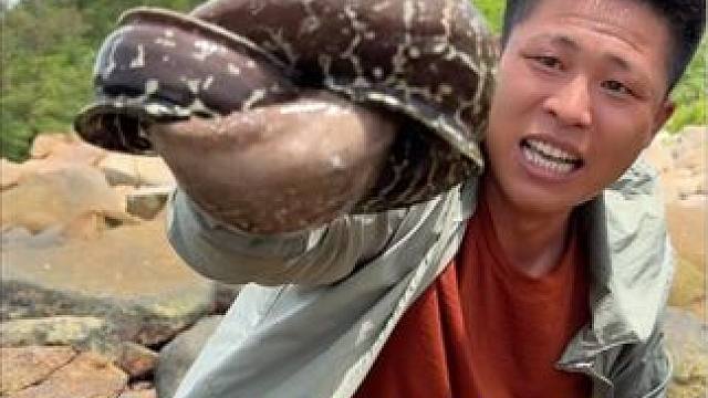 灵芝岛生存探险 第13集