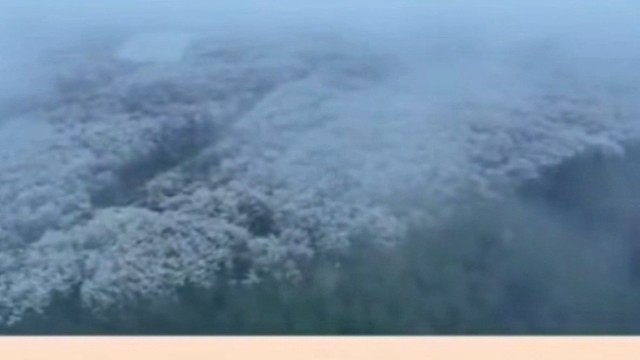 本来面目梦中醒来