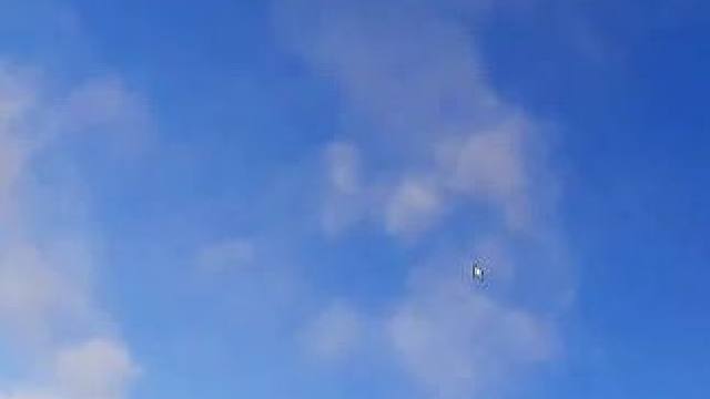 失控进化如何开荒过度 #失控进化 #创作者扶持计划