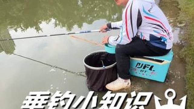 户外垂钓不知道垂钓环境的水深，如何调好漂是不空军的关键 #本汀#本汀视频争霸赛#本汀官方旗舰店#钓鱼