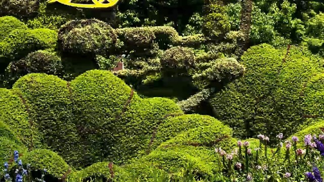 好天气，好心情，