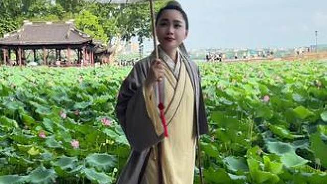 荷风绕伞牵心念，望断西湖等归人