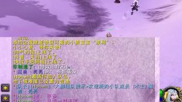 冬泉谷，拿下盗贼排骨小队#魔兽#魔兽世界 #魔兽世界怀旧服