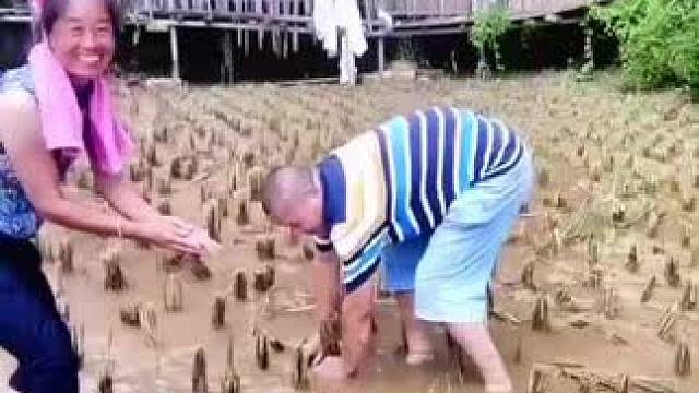 山卡卡里的农村大姐学费了开直播每天收获满满您还在恐播怕播不敢开播开播了不知说些什么吗#记录真实生活 