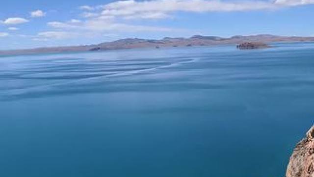 春风若有怜花意,可否许我再少年，