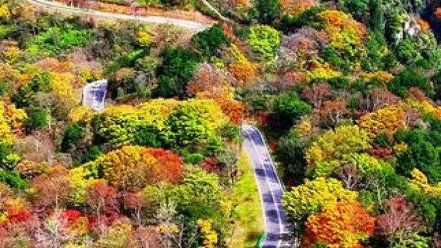 一不要门票，二不要停车费，三可以全程自驾，金秋十月下旬光头山等你来赏秋！#带你走进风景如画的世界 #