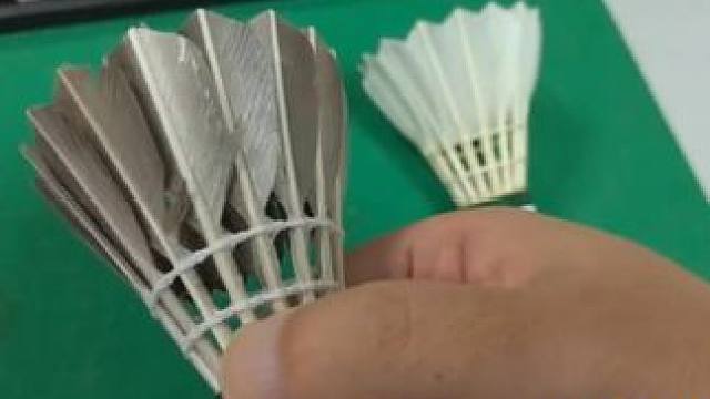 鹅毛球VS鸭毛球区别？不会选怎么办… #鸭毛球  #鹅毛球  #羽毛球  #羽毛球推荐