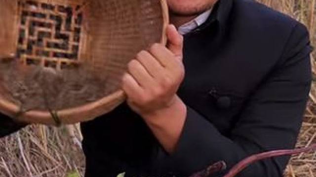 我的午饭酸辣木瓜丝烤田鼠新鲜跳跳虾 #美食 #泰国美食 #户外美食 #内容启发搜索