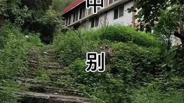 #天然氧吧 #户外探险 #宇小宇户外