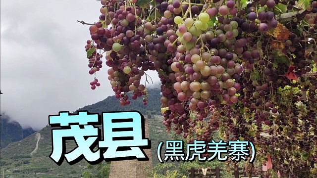 千年古寨，阿坝茂县黑虎羌寨，古碉
楼白孝帽，不一样的旅行体验