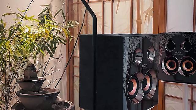 DOSS乐宴全景声音响音质体验