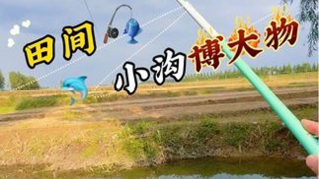 田间小沟博大物 钓鱼人 聚鱼多