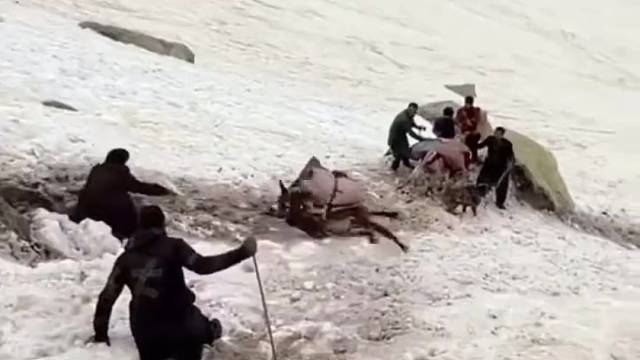 此时此刻对驴也许是个解脱吧[/哒咩][/哒咩]