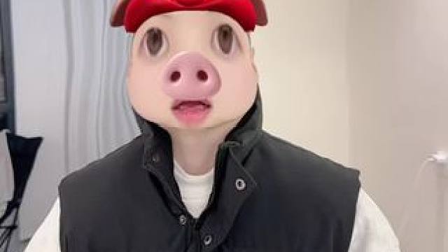 初代顶流猪猪侠驾到