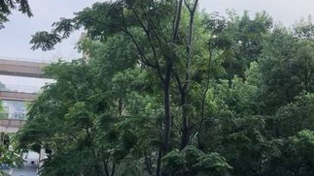 @小助手 #我要上热门  #同城热门