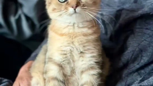 昨天晚上差一丢丢就回不来了，电动车的电只剩14%了