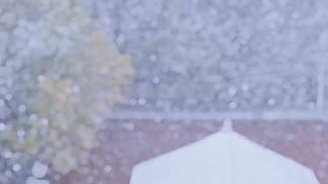 年年落雪，雪落年年，慢慢即漫漫