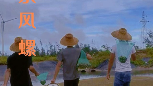 叔公家的积水塘，实现东风螺自由