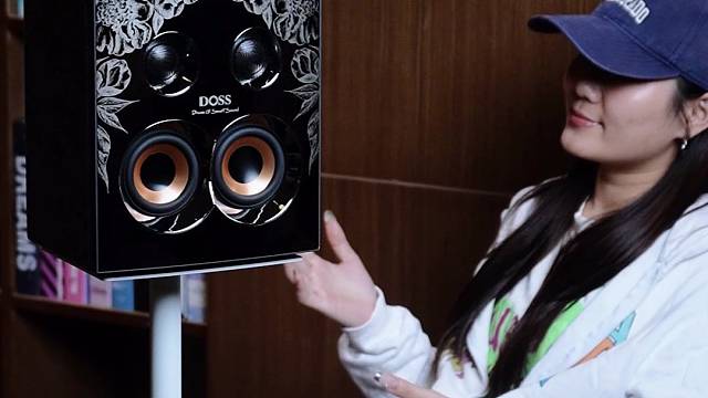 追求好音质又不想多花钱？DOSS直接把性价比拉满！