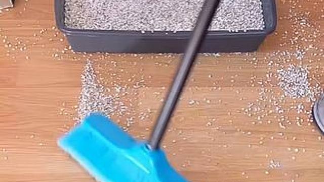 简直就是养猫神器啊