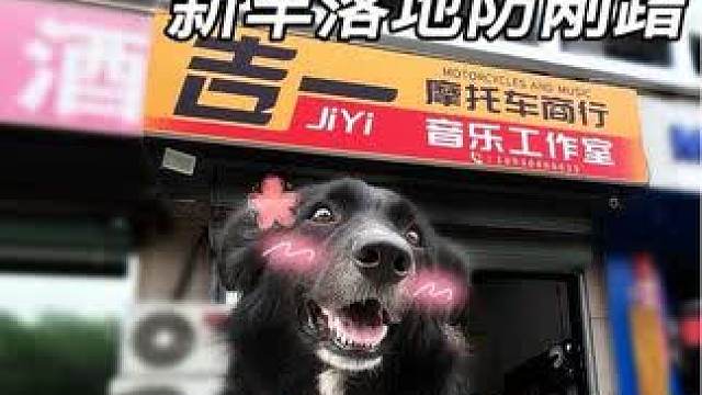 刚提新车就来加装护杠了，安全意识很到位#摩托车 #摩托车保养