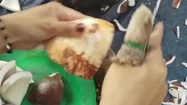 我发布了一个新视频，快来围观吧！