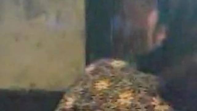 简直太精彩了！