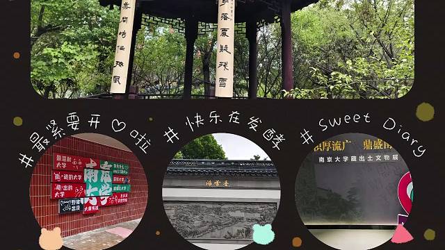 南大会友一日行