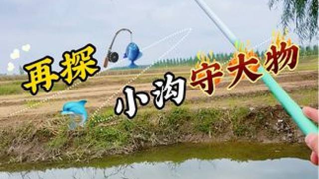 再探小沟守大物 野钓聚鱼多