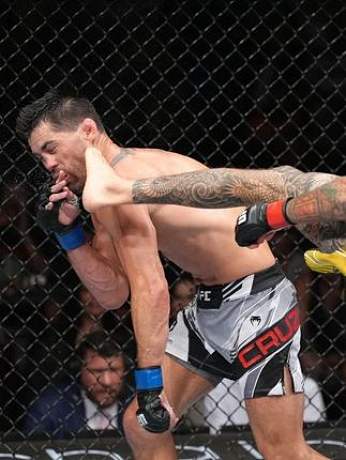 UFC終極格斗冠軍賽啊的直播