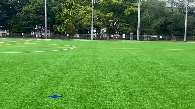 传的好还是停的好