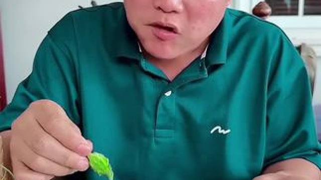 翠绿小苦瓜牛蛙酱配饭团 泰国美食 全民任务