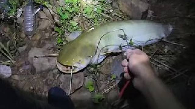 老表，出来钓鱼了喂。