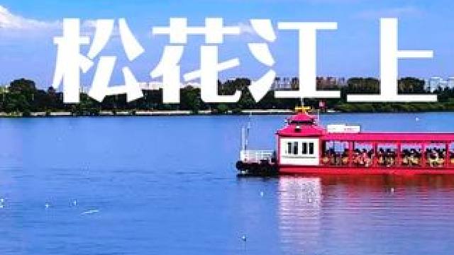 松花江上 松花江宛如一条灵动的丝带，蜿蜒穿过哈尔滨这座冰雪之城，带来无尽的生机与浪漫。江面上，江鸥展