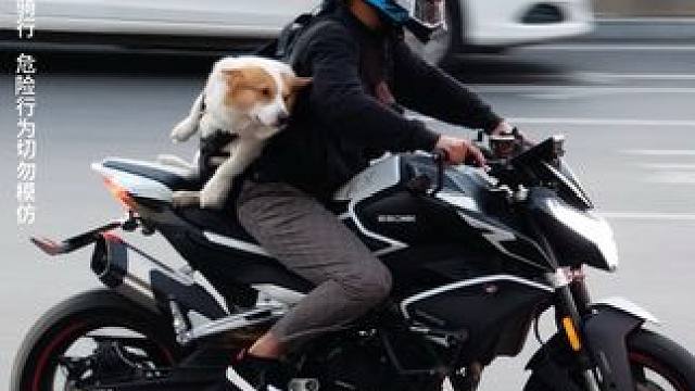 我的摩托不只是一辆车，更是我谋生的伙伴。 你是否认同摩托车在支撑特定群体（如外卖、维修、小微业务）生