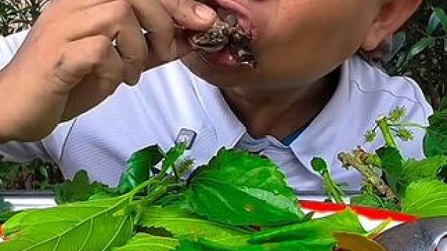 泰式咖喱辣煮牛蛙 #美食 #美食 #户外美食 #泰国美食 #内容启发搜索