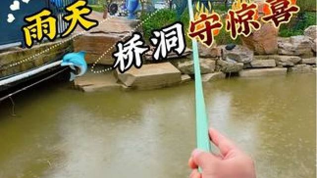 雨天桥洞出惊喜 #钓鱼#野钓#野河野钓#户外钓鱼#渔之源小蜻蜓二代