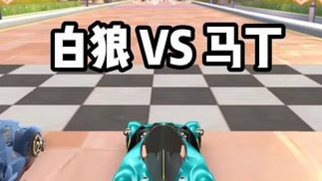 白狼 VS  马丁