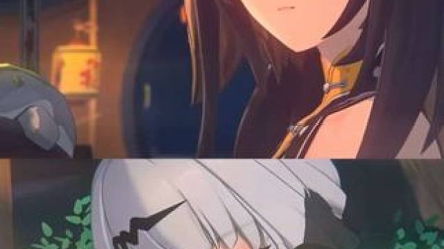 上个敢来接猫的人什么强度我不说了#绝区零 #绝区零创作激励计划 #绝区零卢西娅