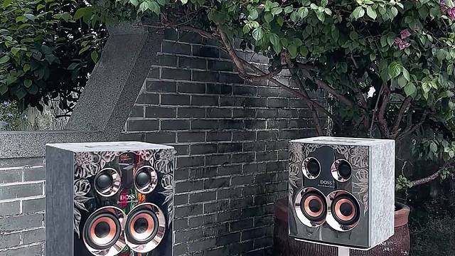 DOSS全景声音响：音质实力如何？来听听看