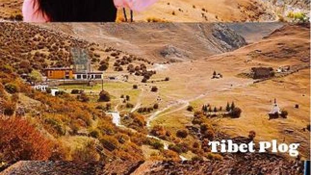 “在秋天总是比平常更容易感知幸福” 西藏的秋真的太太太美啦