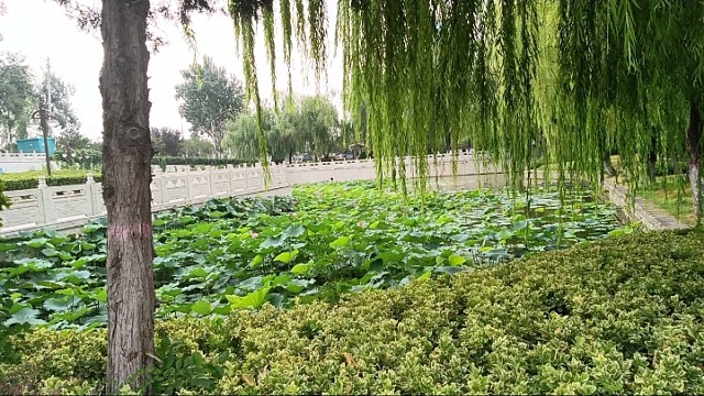 外景拍摄